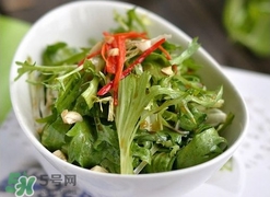 苦菊苦嗎？苦菊苦不苦