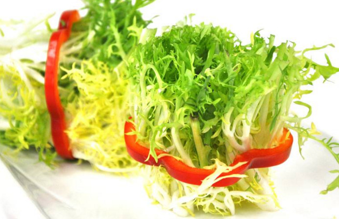 苦菊和什么相克？苦菊不能和什么同吃