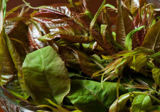 薺菜和香椿能一起吃嗎？薺菜和香椿一起吃好嗎？