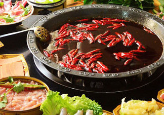 苦菊能涮火鍋吃嗎？苦菊可以涮火鍋嗎