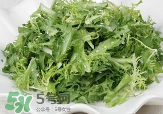 苦菊吃多了好嗎？苦菊吃多了好不