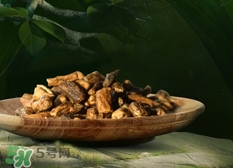 蒲公英根可以泡水喝嗎?蒲公英根能泡水喝嗎? 蒲公英根可以泡水喝嗎?蒲公英根能泡水喝嗎?