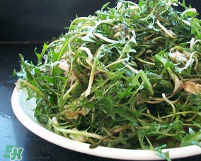 婆婆丁怎么吃？婆婆丁怎么吃最好？