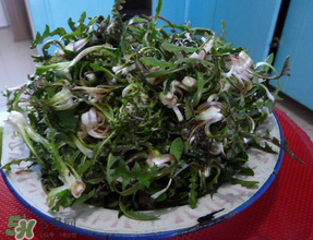 婆婆丁怎么吃？婆婆丁怎么吃最好？