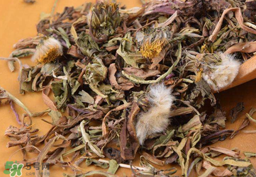 婆婆丁能治高血壓嗎？婆婆丁治高血壓是真的嗎？