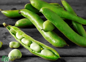 蠶豆什么時(shí)候成熟？蠶豆什么時(shí)候上市？