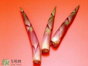 竹筍什么人不能吃？哪些人不適合吃竹筍？