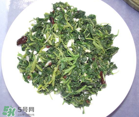 曲曲菜怎么吃？曲曲菜的吃法
