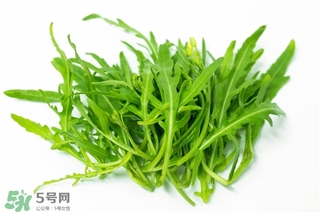 苦苦菜的功效與作用及食用方法 苦苦菜的功效與作用及食用方法