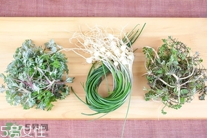 野生小根蒜的功效與作用 小根蒜有什么營養(yǎng)價值 野生小根蒜的功效與作用 小根蒜有什么營養(yǎng)價值