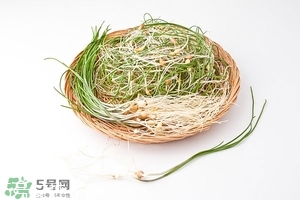 野生小根蒜的功效與作用 小根蒜有什么營養(yǎng)價值 野生小根蒜的功效與作用 小根蒜有什么營養(yǎng)價值