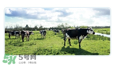 健康時(shí)光有機(jī)奶粉怎么樣？健康時(shí)光有機(jī)奶粉如何？