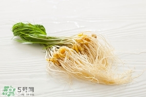 野生小根蒜的功效與作用 小根蒜有什么營養(yǎng)價值 野生小根蒜的功效與作用 小根蒜有什么營養(yǎng)價值