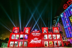 百威啤酒多少錢一瓶？百威啤酒價格