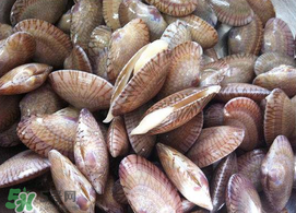 花甲可以放冰箱嗎？花甲放冰箱能放多久？