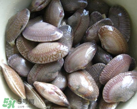 花甲可以放冰箱嗎？花甲放冰箱能放多久？