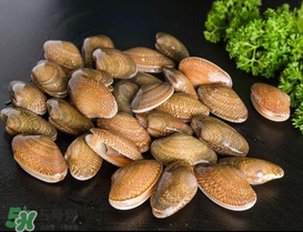 花甲可以放冰箱嗎？花甲放冰箱能放多久？