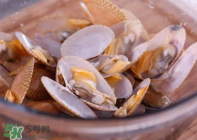 花甲怎么養(yǎng)不會(huì)死？花甲怎么養(yǎng)到用第二天？