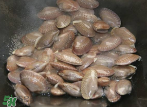 花甲不開口怎么辦？怎么讓花甲開口？