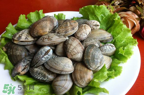 花甲不開口怎么辦？怎么讓花甲開口？