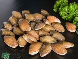 花甲為什么會苦？花甲有苦味什么原因？