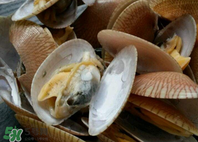 花甲怎么洗才沒沙？花甲怎么洗才干凈？