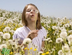 婆婆丁是涼性的嗎?婆婆丁是寒性的嗎? 婆婆丁是涼性的嗎?婆婆丁是寒性的嗎?