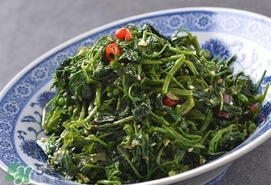 灰灰菜有什么功效？灰灰菜的功效與作用