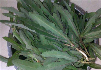 曲曲菜和花菜相克嗎？曲曲菜不能和花菜一起吃嗎？