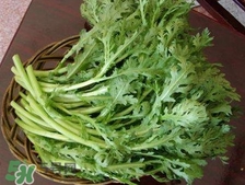 茼蒿怎么種？ 茼蒿的種植方法和時間