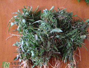 曲曲菜是苦菜嗎？曲曲菜和苦菜有什么區(qū)別？