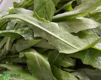 曲曲菜能炒雞蛋吃嗎？曲曲菜可以炒雞蛋嗎？