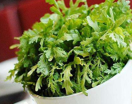 茼蒿與什么食物相克？茼蒿不能和什么一起吃