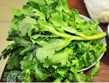 茼蒿要焯水嗎？炒茼蒿用焯水嗎