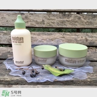 goodal果達(dá)兒是什么牌子？果達(dá)兒在韓國(guó)什么檔次