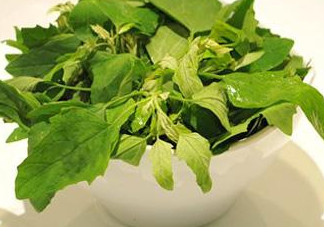 灰灰菜怎么吃？灰灰菜的吃法