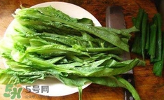 萵苣葉是什么？生菜是不是萵苣葉子