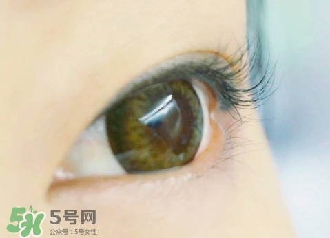 貝印和muji睫毛夾哪個好？貝印和無印良品睫毛夾對比