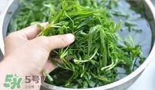 掃帚菜怎么做好吃？掃帚菜怎么吃好吃