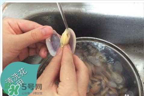 芒果螺怎么清洗？芒果螺怎么吃