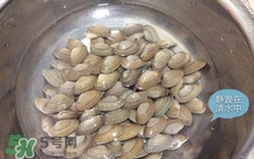 芒果螺怎么清洗？芒果螺怎么吃
