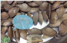 芒果螺怎么清洗？芒果螺怎么吃