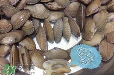 芒果螺怎么清洗？芒果螺怎么吃