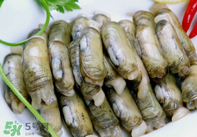 蟶子不能和什么一起吃？蟶子和什么不能一起吃？