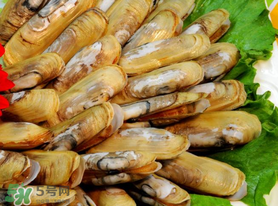 蟶子不能和什么一起吃？蟶子和什么不能一起吃？