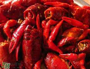 孕婦能吃油燜大蝦嗎？油燜大蝦孕婦可以吃嗎？