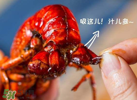 吃油燜大蝦會(huì)胖嗎？油燜大蝦的熱量是多少？