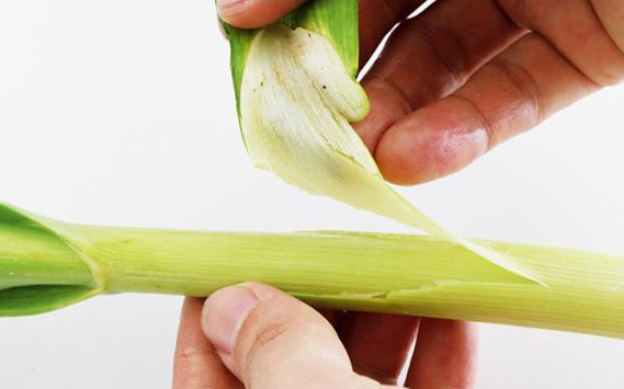 蒜苗怎么摘？蒜苗怎么處理