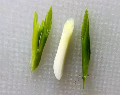 蒜苗怎么切？蒜苗如何切