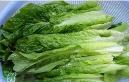 萵苣葉怎么吃？萵苣葉怎么做好吃